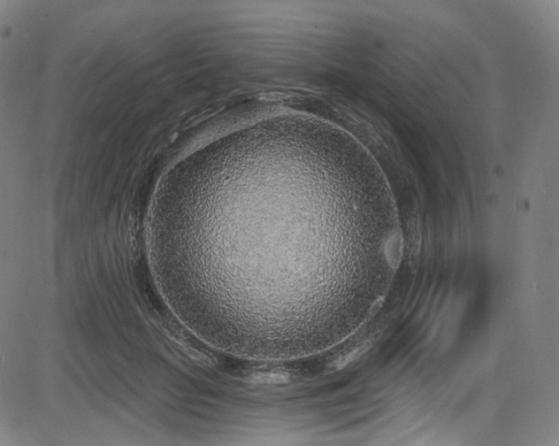 X0000085240653200703091218