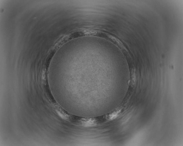 X0000085240667200703091218
