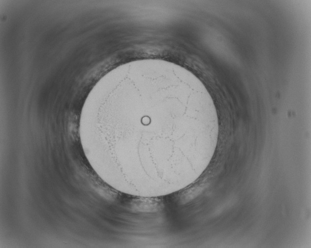 X0000085240672200703091218