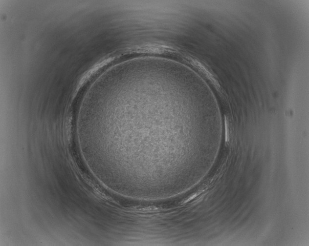 X0000085240675200703091217
