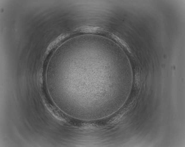 X0000085240682200703091217