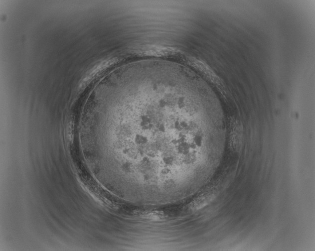 X0000085240683200703091217