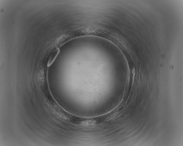 X0000085240700200703091217