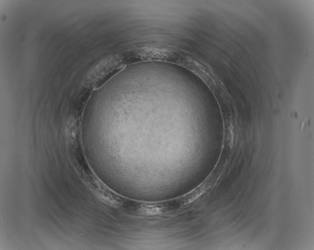 X0000085240701200703091217