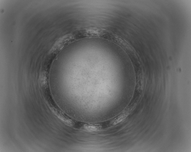 X0000085240706200703091217