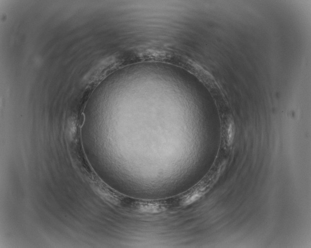 X0000085240709200703091217