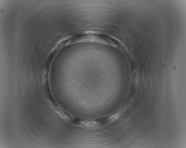 X0000085240712200703091217