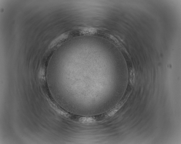 X0000085240714200703091217