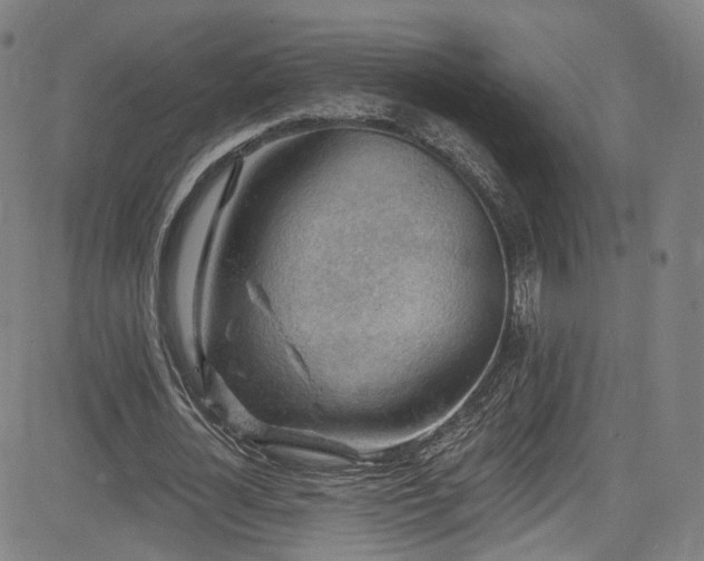 X0000085240724200703091216