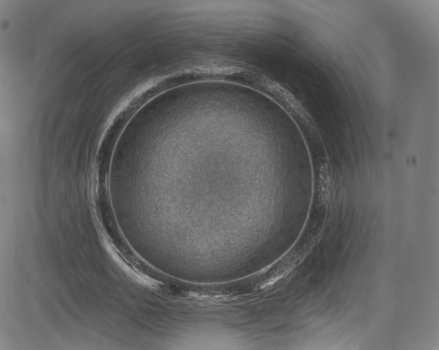X0000085240726200703091216