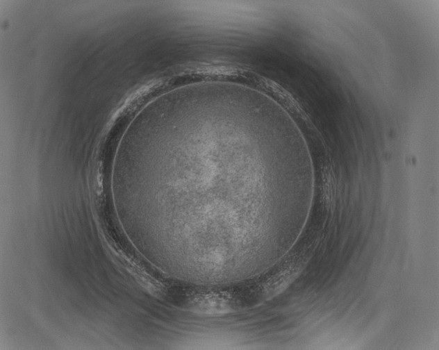X0000085240731200703091216