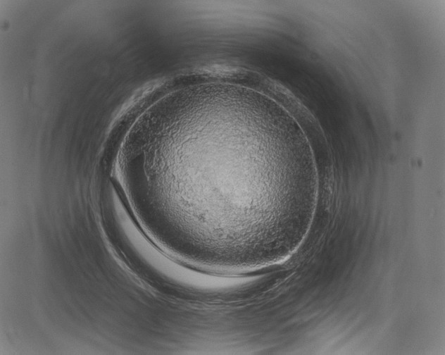 X0000085240734200703091216