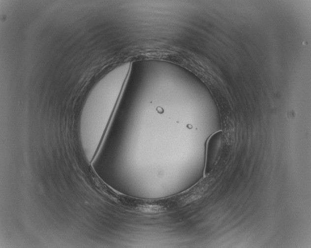X0000085240748200703091216