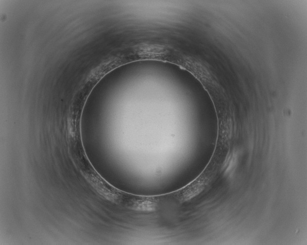 X0000085240755200703091216