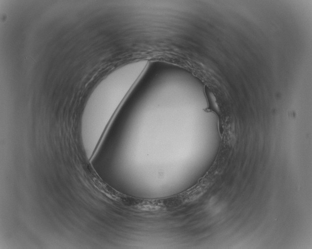 X0000085240756200703091216
