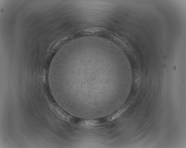 X0000085240758200703091216