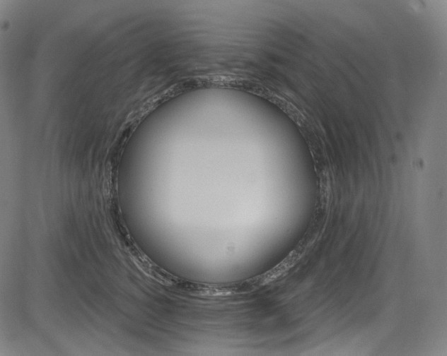 X0000085240760200703091216