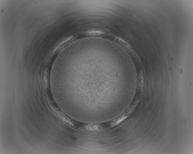 X0000085240762200703091216