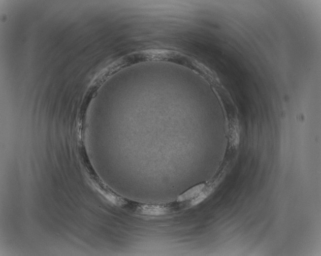 X0000085240766200703091217