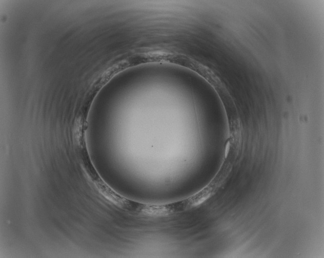 X0000085240767200703091217