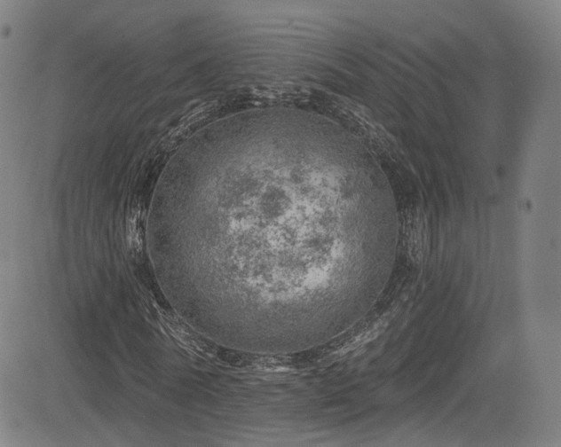 X0000085240770200703091216