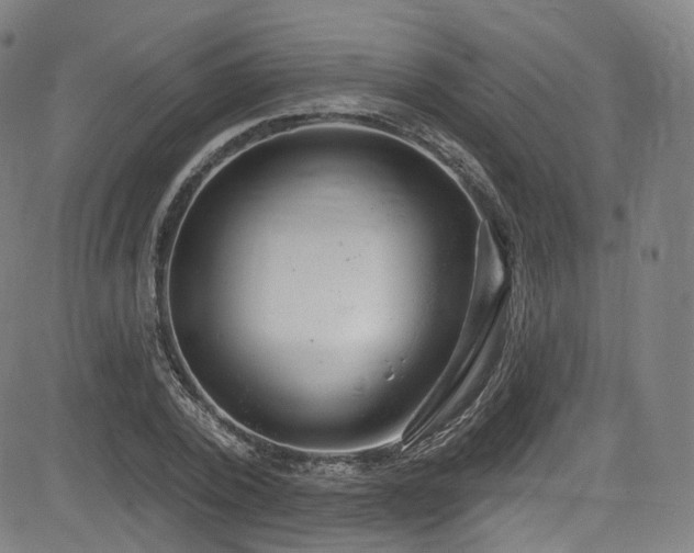 X0000085240784200703091216