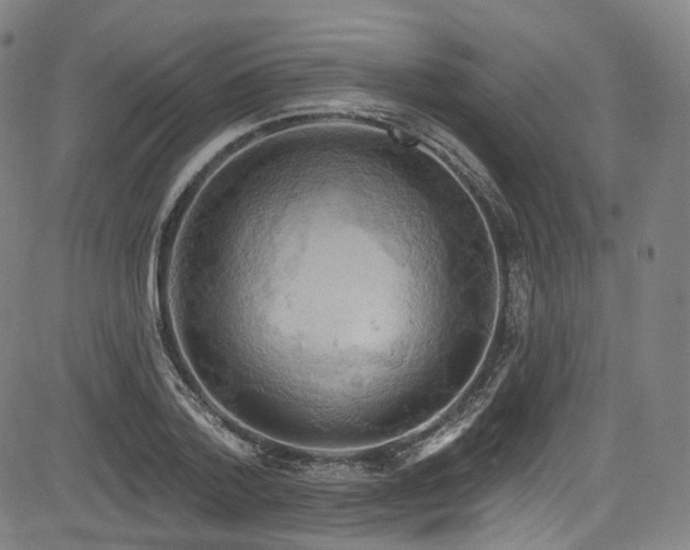 X0000085240788200703091215