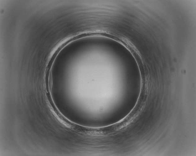 X0000085240789200703091215