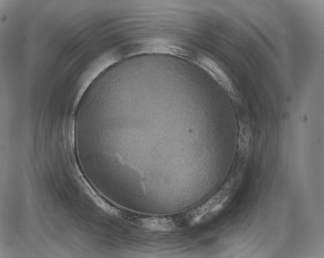 X0000085240804200703091215