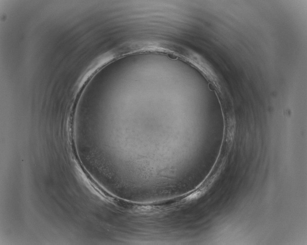 X0000085240806200703091215