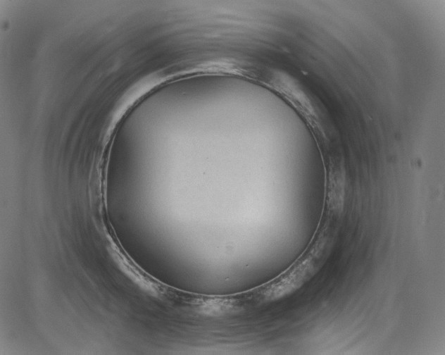 X0000085240808200703091215