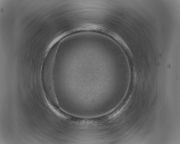 X0000085240842200703091215
