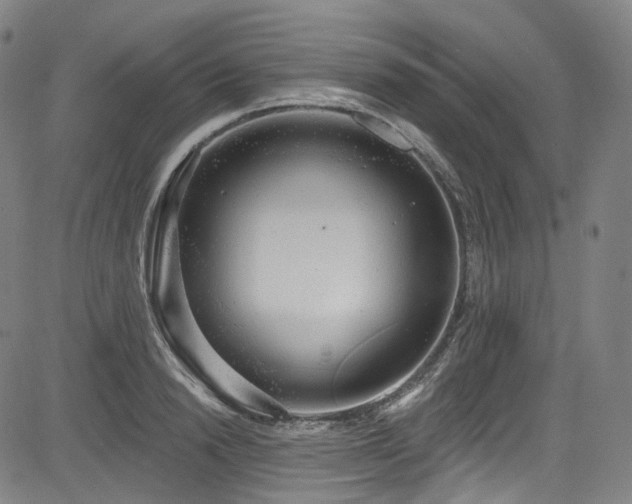 X0000085240846200703091215