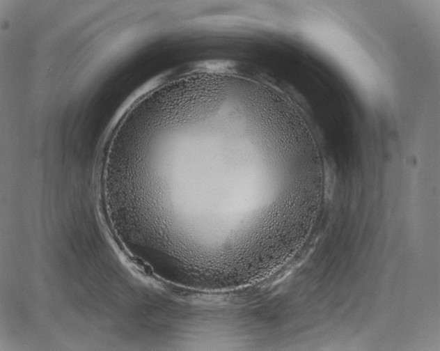 X0000085240861200703091215