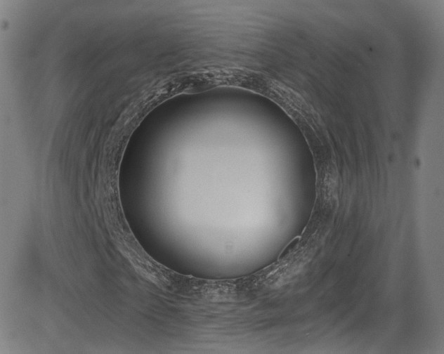 X0000085240865200703091214