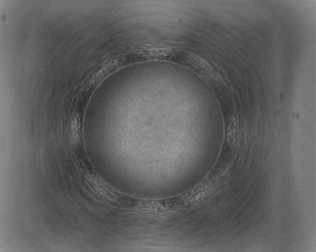 X0000085240866200703091214