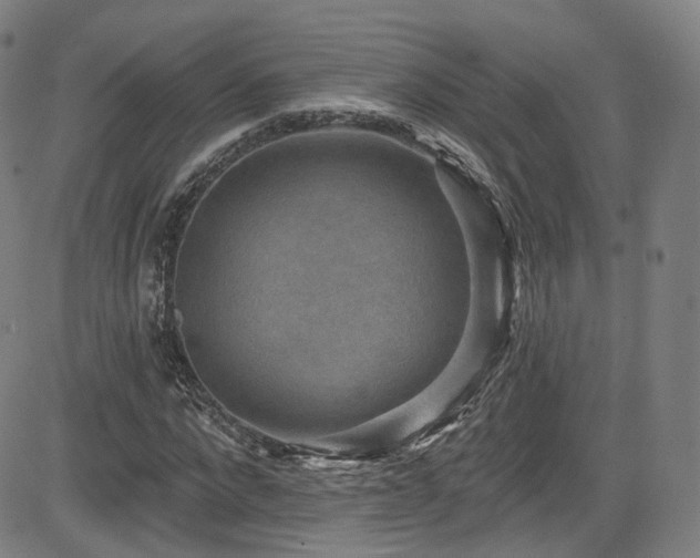 X0000085240872200703091214
