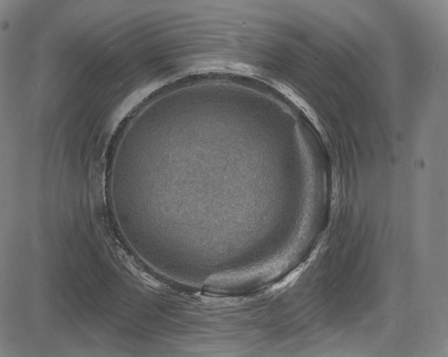 X0000085240877200703091214