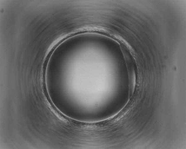 X0000085240894200703091214