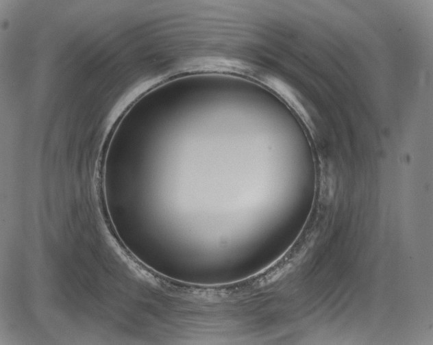 X0000085240901200703091214
