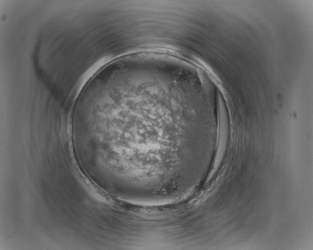 X0000085240907200703091213