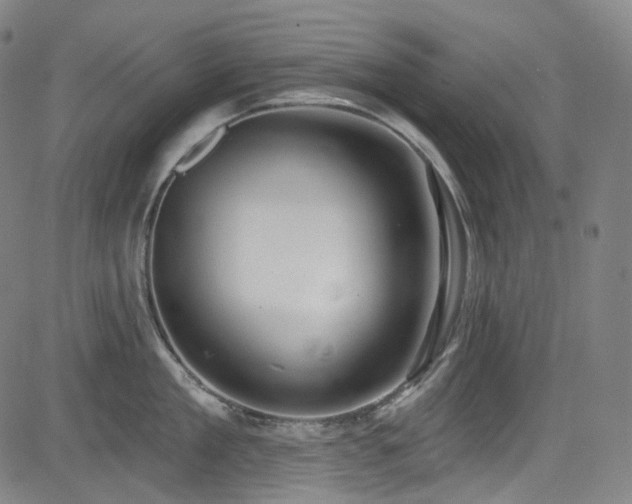 X0000085240909200703091213