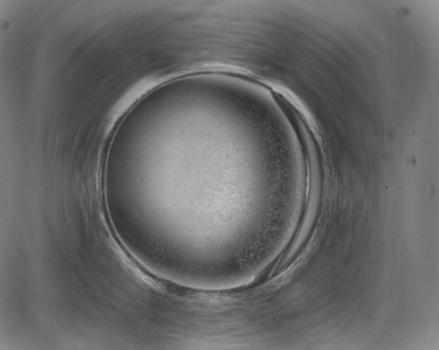 X0000085240910200703091213