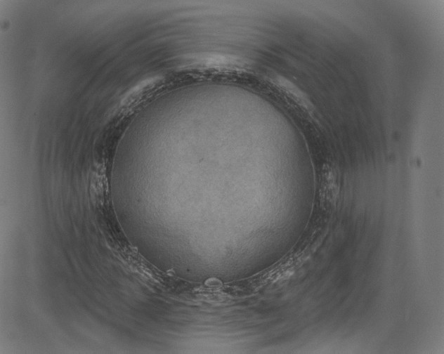 X0000085240918200703091213