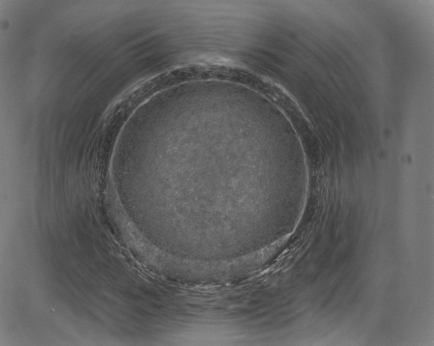 X0000085240919200703091213