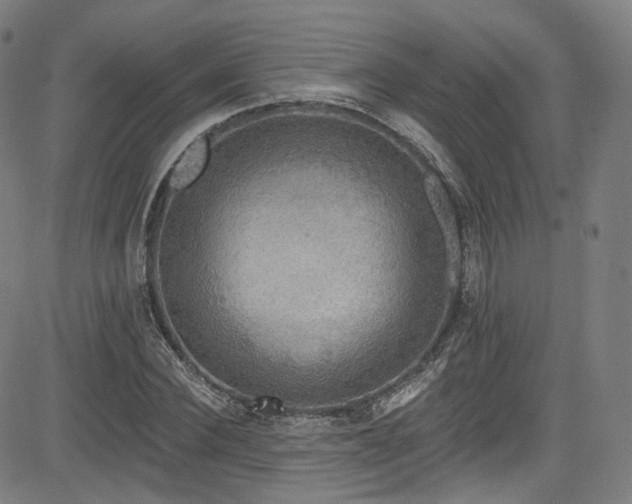 X0000085240924200703091213