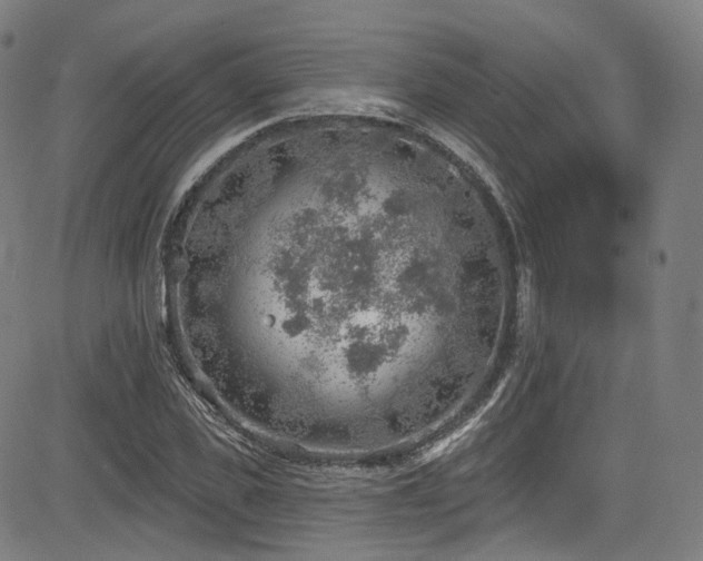 X0000085240925200703091213