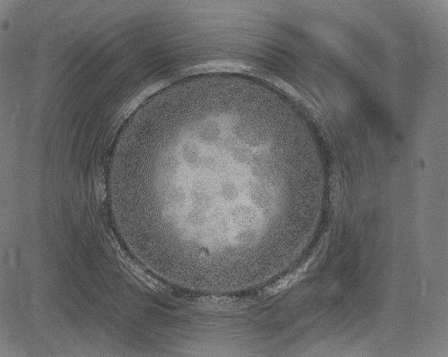 X0000085240929200703091213