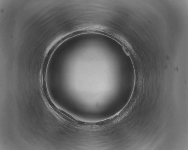 X0000085240936200703091213