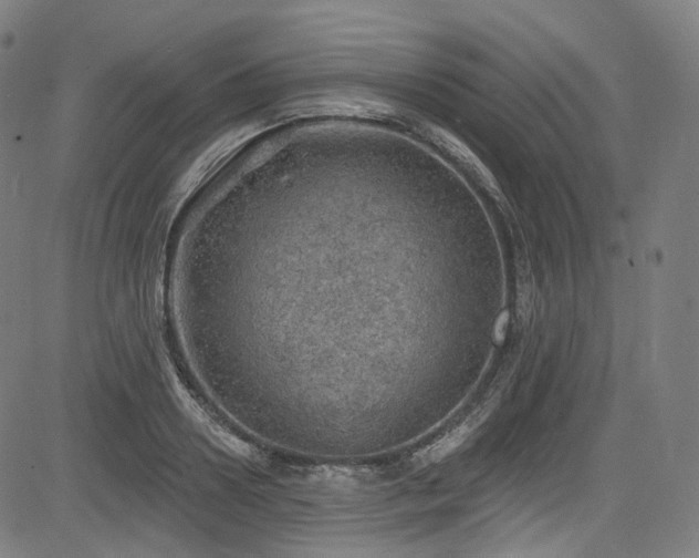 X0000085240938200703091213